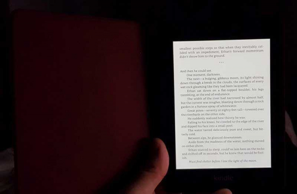 Обзор Amazon Kindle Paperwhite 2018: новый стандарт классической читалки