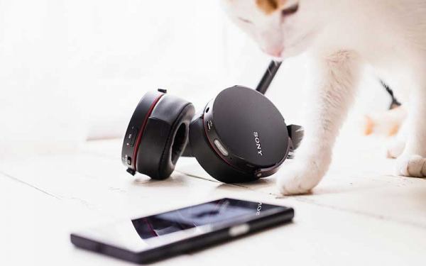 Тестирование Sony MDR-XB950BT – Обзор наушников в которых мощный и приятный бас