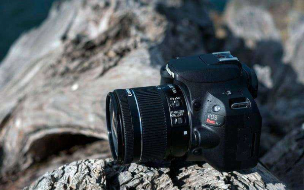 Обзор Canon EOS Rebel SL2 — Самая компактная зеркалка с привлекательной ценой